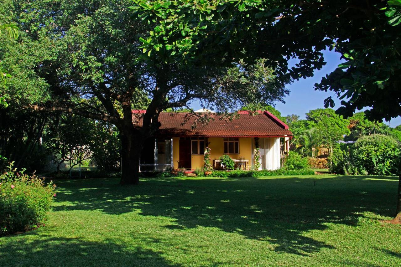 Ancha'S Oasis Otel Maputo Dış mekan fotoğraf
