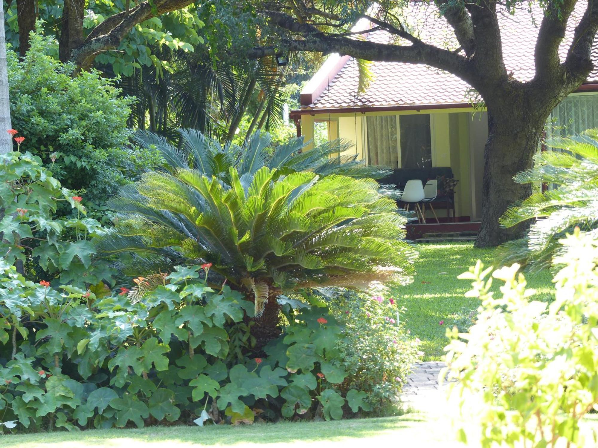 Ancha'S Oasis Otel Maputo Dış mekan fotoğraf