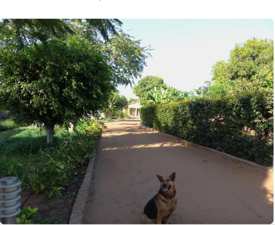 Ancha'S Oasis Otel Maputo Dış mekan fotoğraf